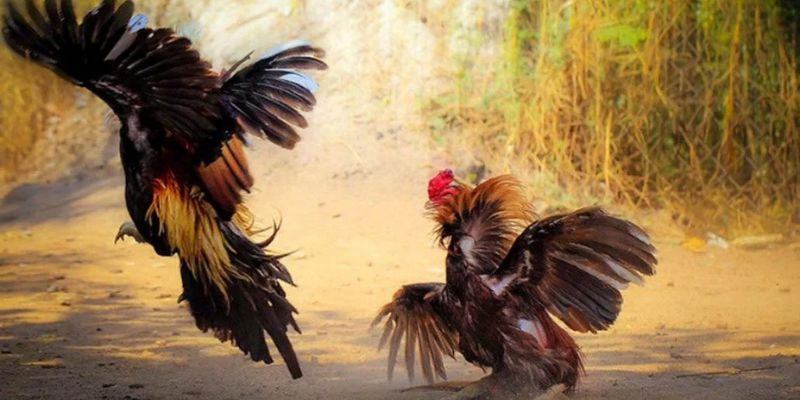 Bảo mật và an toàn tại W388 có chính sách gì?
